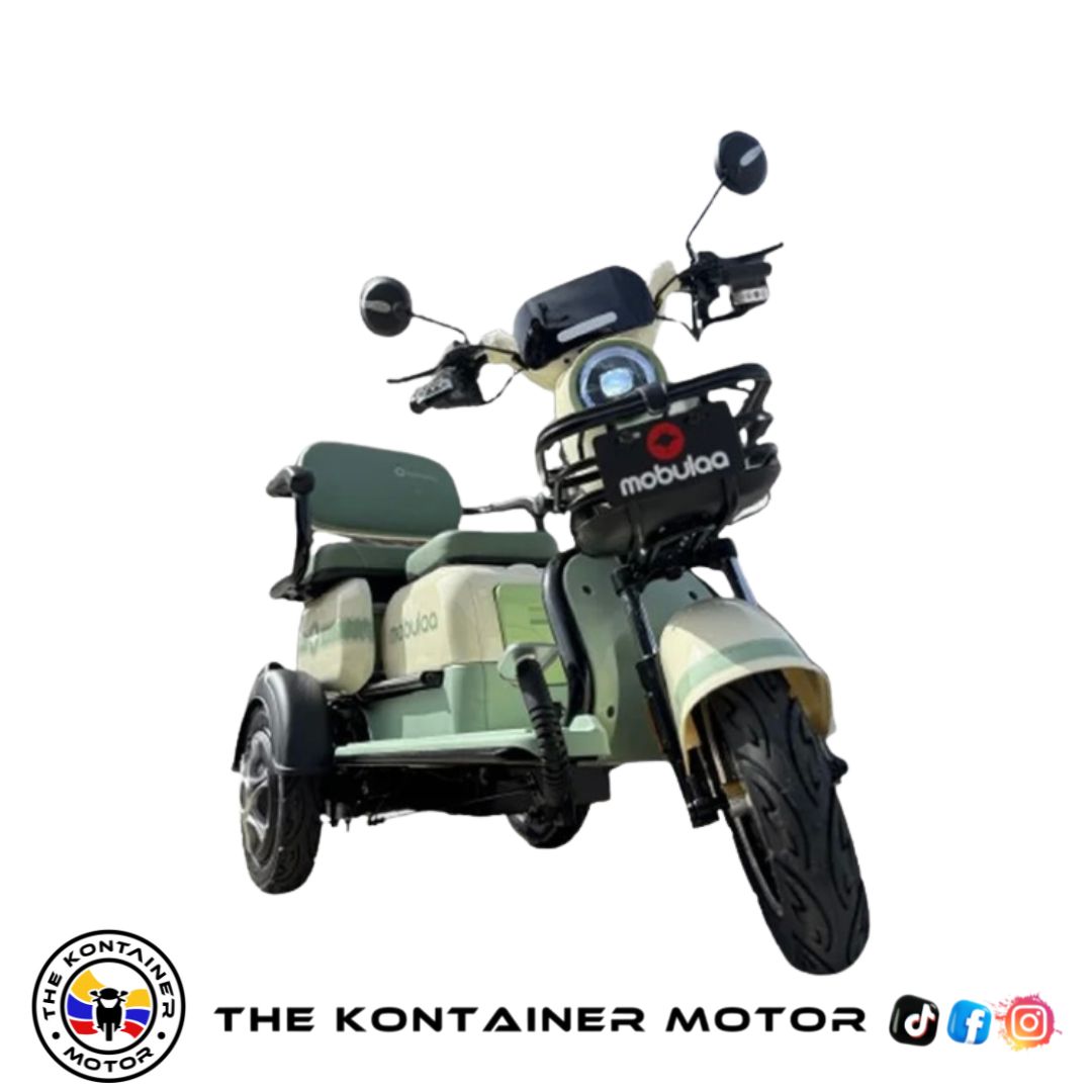 TRICIMOTOS ELECTRICA FAMILY 1