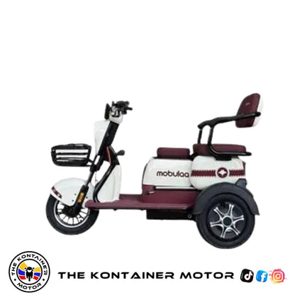 TRICIMOTOS ELECTRICA FAMILY 1