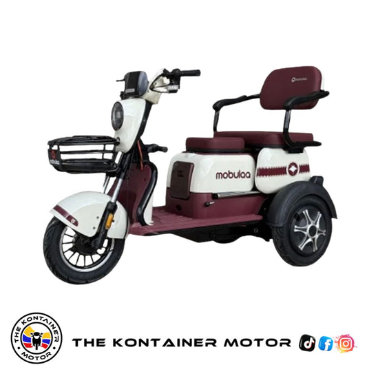 TRICIMOTOS ELECTRICA FAMILY 1