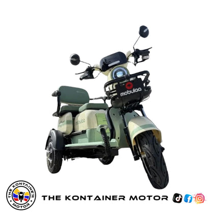 TRICIMOTOS ELECTRICA FAMILY 1